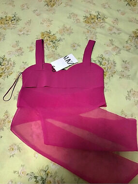 ZARA Pink Sheer Crop Top NWT